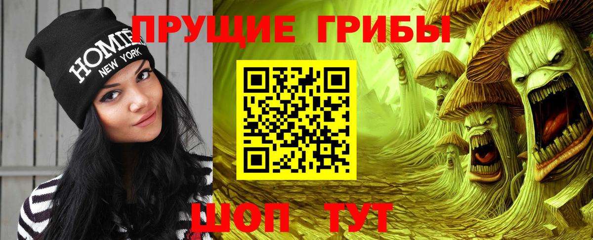 Псков  Псилоцибиновые грибы ЛСД  Вход с VPN 